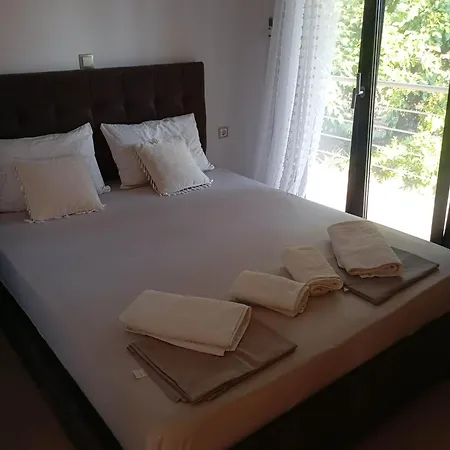 Cactus Luxury * Oreoi
